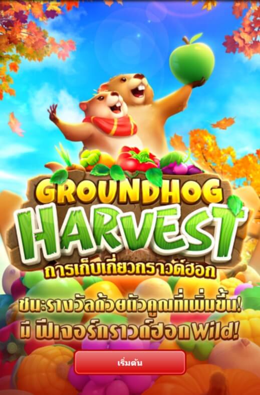 แนะนำเกมส์สล็อต PG Groundhog Harvest