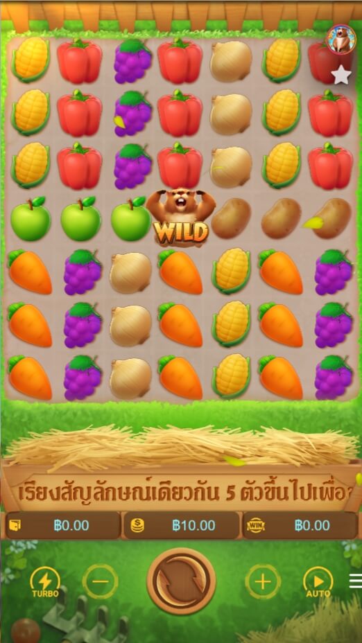 แนวทางของเกม PG การเก็บเกี่ยวกราวด์ฮอก