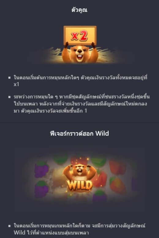 รูปแบบของโบนัสพิเศษจาก SLOT PG การเก็บเกี่ยวกราวด์ฮอก